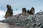 Penguins below dramatic rock formations, Half Moon Bay, South Sheltand Islands, Antarctica, Polar Regions