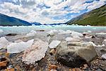 Blocks of ice float in one of the affluents of Lago Argentino, next to Perito Moreno Glacier, and wash ashore by the rocks, Los Glaciares National Park, UNESCO World Heritage Site, Patagonia, Argentina, South America