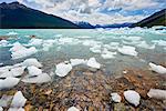 Blocks of ice float in one of the affluents of Lago Argentino, next to Perito Moreno Glacier, and wash ashore before they melt, Los Glaciares National Park, UNESCO World Heritage Site, Patagonia, Argentina, South America.