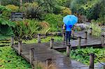 VanDusen Gardens, Vancouver, British Columbia, Canada, North America