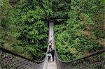 Suspension bridge, Lynn Canyon Park, Vancouver, British Columbia, Canada, North America