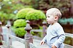 adorable serious toddler standing at the cute little bridge in japanese garden park