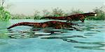 Uberabasuchus dinosaur reptiles inhabit a Brazil river catching fish in the Cretaceous Period.