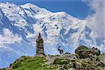 Alpine ibex (Capra ibex). In background Mont Blanc, France