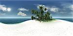 panorama 360 sea  tropical island  palm trees  sun