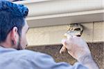 Professional Painter Using A Brush to Paint House Fascia Under Rain Gutter.