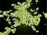 Many pathogen viruses. On dark green color background. 3d render