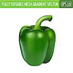 Green pepper isolated realistic illustration on white background.