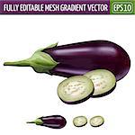 Eggplant realistic isolated illustration on white background.