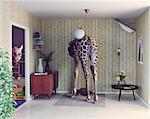 giraffe in the living room. creative concept. Photo and cg elements combination