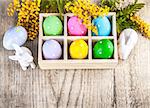 Easter eggs branch mimosa and white rabbit on wooden board rustic style with copyspace