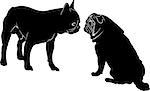 Dog Bulldog. The dog breed bulldog.Dog Bulldog black silhouette vector isolated on white background. Dog pug. Meeting two dogs of a bulldog and a pug