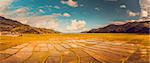 Beautiful mountain landscape in the summer day. Yellow meadow, bue sky with clouds and sun. Nature background. Agriculture rice field in Nepal, trekking in Himalaya. Exploring beauty world