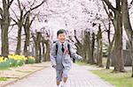 Japanese kid with cherry blossoms in a city park