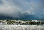 Wave, Domburg, Zeeland, Netherlands