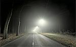 Road leading through forest, at night, Breda, Noord-Brabant, Netherlands