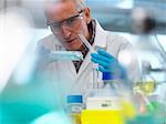 Biotechnology Research, scientist viewing samples in a multi well plate during an experiment in the laboratory