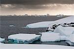 Icebergs near Petermann Island, Antarctica