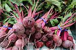 Bundles of organic beetroot at a market