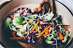 Red cabbage salad with carrots and Brussel sprouts