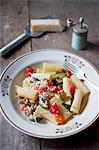 Rigatoni ortolana. Pasta with vegetables (zucchini, eggplant, red pepper, carrot, tomatoes, garlic and onion). Served with grated parmesan cheese and freshly ground black pepper