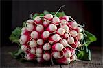 French Breakfast radishes