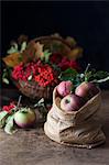 Apples in a paper bag in front of a basket of rowan berries