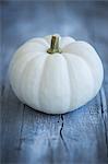 White pumpkin Baby Boo pumpkin