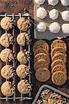 Melt in Your Mouth Lemon Sugar Cookies, Soft Ginger Molasses Cookies and Dipped Peanut Butter Cookie