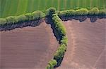 France, Landscape with plowed fields and tree alignment, aerial view