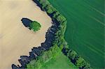 France, Landscape with plowed fields and lined up trees aerial view