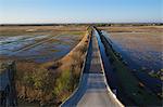 France, Southern France, Gard, Camargue, Aigues Mortes, road under Tour Carbonniere