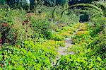 France, Normandy, Eure. Giverny. Garden of Claude Monet's house.