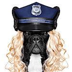 policewoman dog ON DUTY WITH stop sign and hand , isolated on white blank background wearing a blonde funny wig