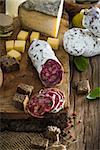 Cheese and Salami. Variety od cold cuts. Cheese on wood. Types of cheese and sausages