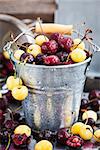 Fresh wet yellow and red cherry in a bucket
