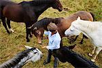 Overhead view of woman amongst five horses in field