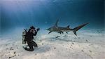 Underwater view of female underwater photographer, photographing from seabed