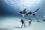 Underwater view of two divers on seabed amongst fish