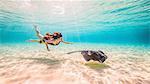 Female free diver swimming with stingray on seabed