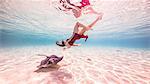 Female free diver swimming near stingray on seabed