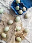 White eggs and blue egg box