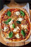 A pizza with tomatoes, mushrooms, mozzarella and basil