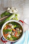 Noodle soup with vegetables and dumplings in a pot