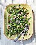Broccoli and spinach salad with radishes and peas