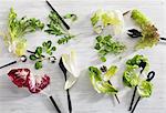 Various lettuce leaves with salad servers