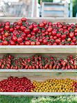 Assorted tomatoes in wooden trays