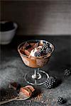 A stem glass with dark chocolate mousse, blackberries and chocolate chunks against a dark background