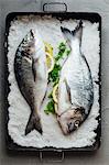 Two raw gilt-head bream in a bed of salt (seen from above)
