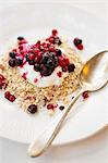 Porridge oats with Greek yoghurt and redcurrants